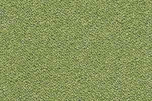 Ковровая плитка Tessera Chroma 3617 Botanical фото  | FLOORDEALER